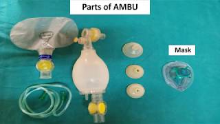 Artificial Manual Breathing Unit | AMBU Bag | Pediatrics Instruments