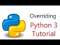 #15 Python Programming -  Polymorphism and Overriding