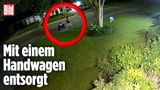 Polizei sicher: Hier beseitigt eine Kinder-Mörderin die Leiche | Louisiana