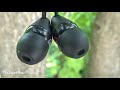 sony wi c200 bluetooth earphone review premium budget earphone