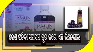 Jamukoli vinegar eliminates the problem of hair loss ||କେଶ ଛଡିବା ସମସ୍ୟା ଦୂର କରେ ଜାମୁକୋଳି ଭିନେଗାର..