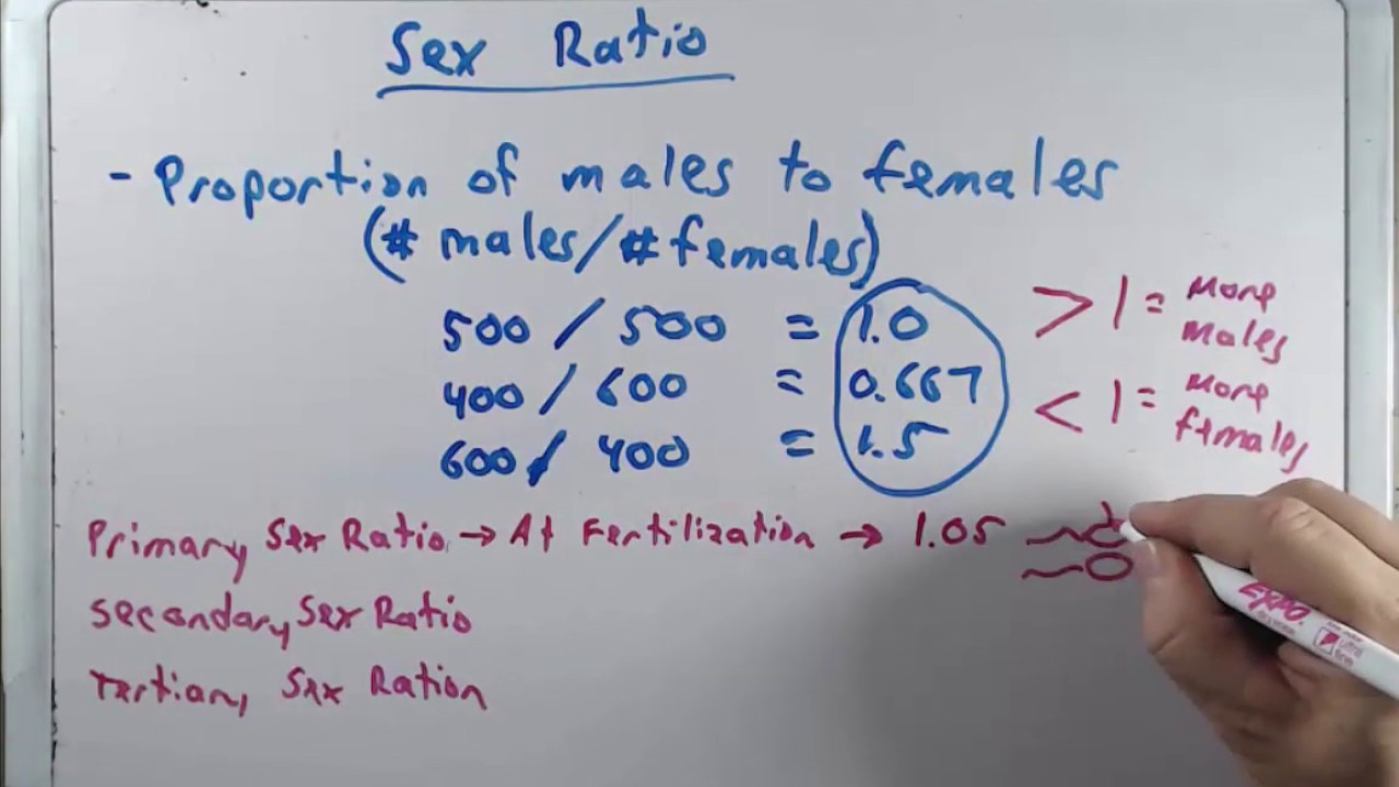 Genetics Of Sex B - YouTube