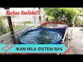 BELAJAR BUDIDAYA IKAN NILA SISTEM RAS//ruwangtumbuh Bag_1