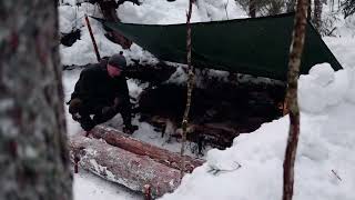 雪中丛林搭建庇护所，烹饪美食#荒野建造 #雪地露营#户外