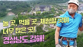 봄 따라 김해 따라 걷는 길 l 경상남도 김해 l  테마기행 길