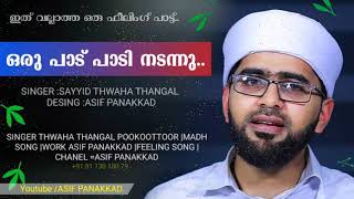 ഒരു പാട് പാടി നടന്നു.. | Thwaha thangal..