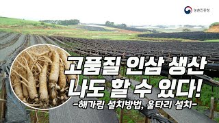 고품질 인삼 생산, 나도 할 수 있다!