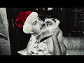 수많은 새벽을 지나 크리스마스가 올 때까지🎄 | 12월의 새벽을 설렘으로 채워 줄 노래 (playlist)