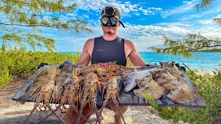 Underwater Harvest: Spearfishing in Crystal Clear Waters Yields 5 Lobster, 3 Fish, and 4 Conch!