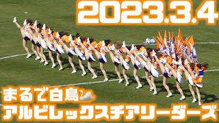 この美しさ🦢まさに白鳥か🤔アルビレックスチアリーダーズ パフォーマンス アルビレックス新潟vs北海道コンサドーレ札幌2023.3.4J1