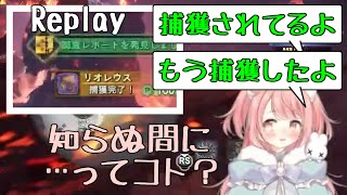 【花丸ちよ】いつの間にか捕獲できてるし色んなものに興味を惹かれる花丸ちよ【Vtuber切り抜き】