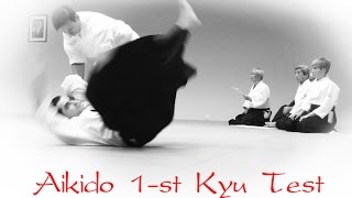 Aikido Aikikai 1-st Kyu Full Real Test