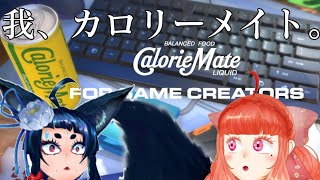 #CalorieMate LIQUID FOR GAME CREATORS　俺がカロリーメイトだ