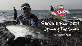 Sardine Run 2021: Targeting Natal Snoek with Gerhard Guse