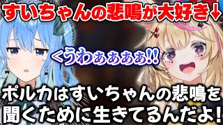 すいちゃんの事件性のある悲鳴が大好きなポルカ【ホロライブ切り抜き/尾丸ポルカ/星街すいせい】