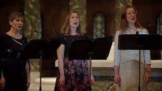 Chicago a cappella sings Alfred Burt's 'Nigh Bethlehem'