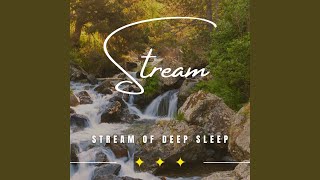 Dreams Amidst the Stream