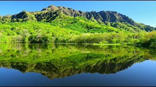 新緑の戸隠山を水面に映す鏡池・4K