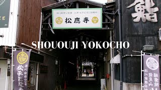 『Strolling Through Hydrangeas at Shououji Yokocho | Okazaki City, Aichi, Japan』(2024)