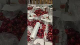 cherries 🍒 #germany #cherry #cherryblossom #telugu #shorts #shortvideo #fruit  #viral #cherryvlogs