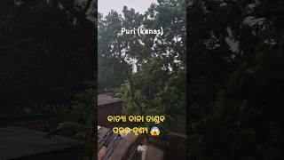 ବାତ୍ୟା ଦାନା ତାଣ୍ଡବ ପରର ଦୃଶ୍ୟ | batya dana tandaba parara drusya 😰 || #shortfeed #trending #shorts.