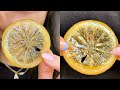 🍋 Candied Lemon Slices Recipe | Simple and Delish by Canan