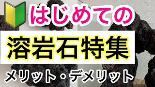 【溶岩石特集!】アクアリウム用溶岩石の使い方をプロが解説します!