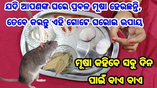 ଯଦି ଆପଣଙ୍କ ଘରେ ପ୍ରବଳ ମୂଷା ହେଉଛନ୍ତି, ତେବେ କରନ୍ତୁ ଏହି ଗୋଟିଏ ଘରୋଇ ଉପାୟ, ଆଉ ଗୋଟିଏ ବି ମୂଷା ଦେଖାଯିବେ ନାହିଁ