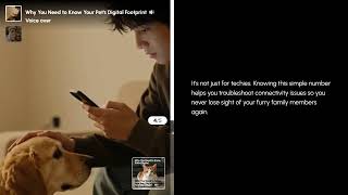 Why You Need to Know Your Pet's Digital Footprint