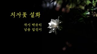 시낭송 / 치자꽃 설화 ㆍ 박규리 / 임진이 시낭송가