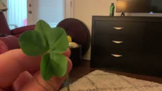 5 LEAF CLOVER