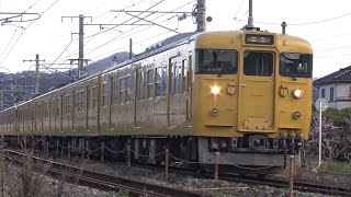 【4K】JR伯備線　普通列車115系電車　ｵｶA-06編成+ｵｶD-13編成