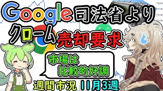 Googleクローム売却命令!?　株価大幅下落　だけど市場は好調【ずんだもん解説】【市況】