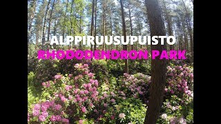 HAAGAN ALPPIRUUSUPUISTO - RHODODENDRON PARK, HELSINKI