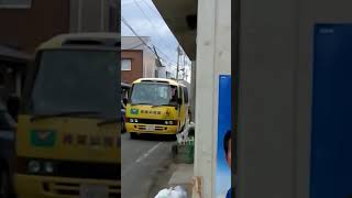 大型進入禁止道路（旧々国道）に大型トラックが進入した末路【初見殺し】#shorts