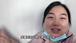 丈母娘阳了，女婿却拿丈母娘土豆种子炖地锅鸡，直接在锅里抢着吃