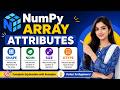 Lecture#56|NumPy Array Attributes Explained | Shape, Size, ndim, dtype, Indexing & Slicing