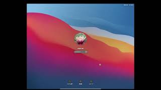 Virtualboxでmacosを入れる方法