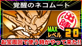 【200日目】これで周回楽に・・・1日10分しかプレイ出来ないにゃんこ大戦争