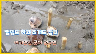 [해루질, 캠핑] ]몽산포 자동차야영장 캠핑, 맛조개 해루질,차박캠핑