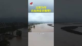 近期为何出血热患者激增？| CCTV科教