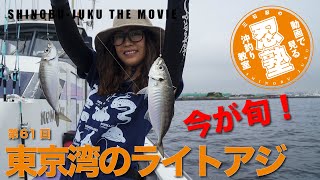 今が旬！東京湾のライトアジ【忍塾THE・ムービー62】