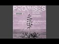 Promises (Extended Mix)