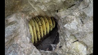 女老板订购20斤野生蜂蜜，小伙到高山寻找发现一大蜂窝，赚大了【农人阿蓝】