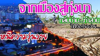 กลับบ้านทำสวนเกษตร มือใหม่หัดทำเกษตรเพราะแค่อยากปลูกผัก ใช้ชีวิตแบบบ้านสวน