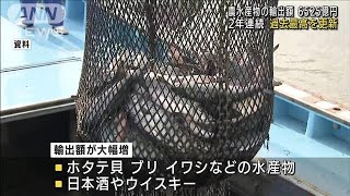 農林水産物　今年上半期の輸出額6525億円で過去最高(2022年8月5日)