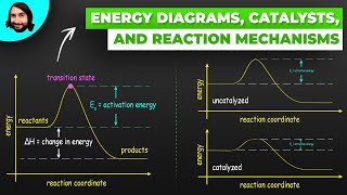 Energy Diagrams, Catalysts, and Reaction Mechanisms