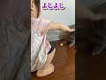 【一歳児】ウサギさんにご飯をあげてみよう！ shorts