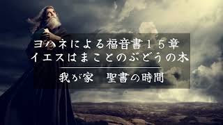 ヨハネによる福音書１５章　イエスはまことのぶどうの木「我が家 聖書の時間」