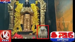 Owl Entered Into Lord Garuda Temple In Jagtial District | Teenmaar News | V6 News